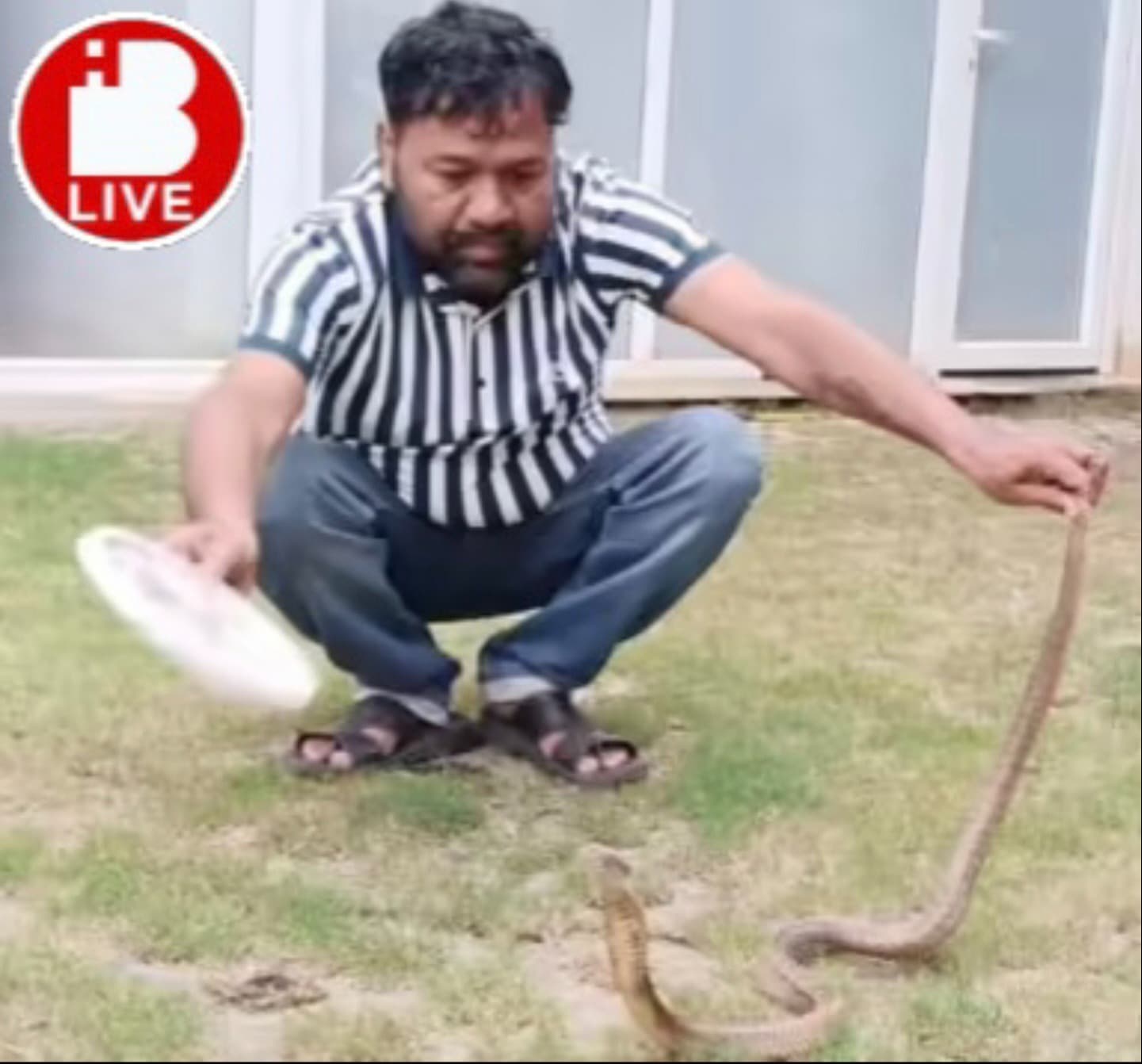 रांची: महेंद्र सिंह धोनी के फार्म हाउस में निकला कोबरा, मची अफरा-तफरी