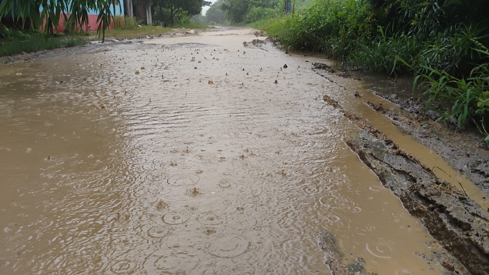 दैहर मोड़ से सोहरा तक बदहाल सड़क, दर्जनों गांवों का आवागमन प्रभावित