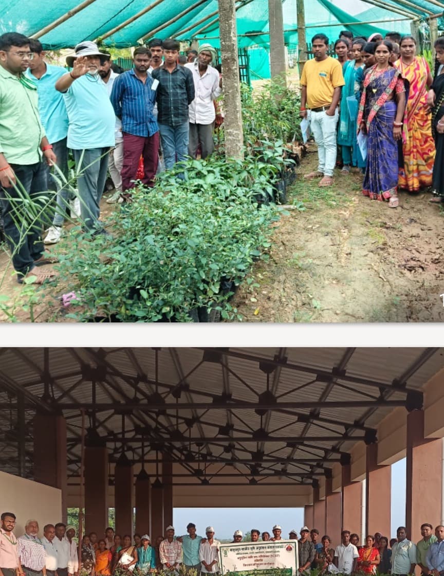  बागवानी प्रशिक्षण कार्यक्रम का सफल आयोजन