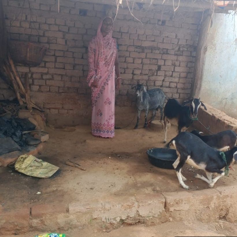 हड़िया-दारू बेचने की मजबूरी से आत्मनिर्भरता तक: आशा देवी बनीं बदलाव की मिसाल