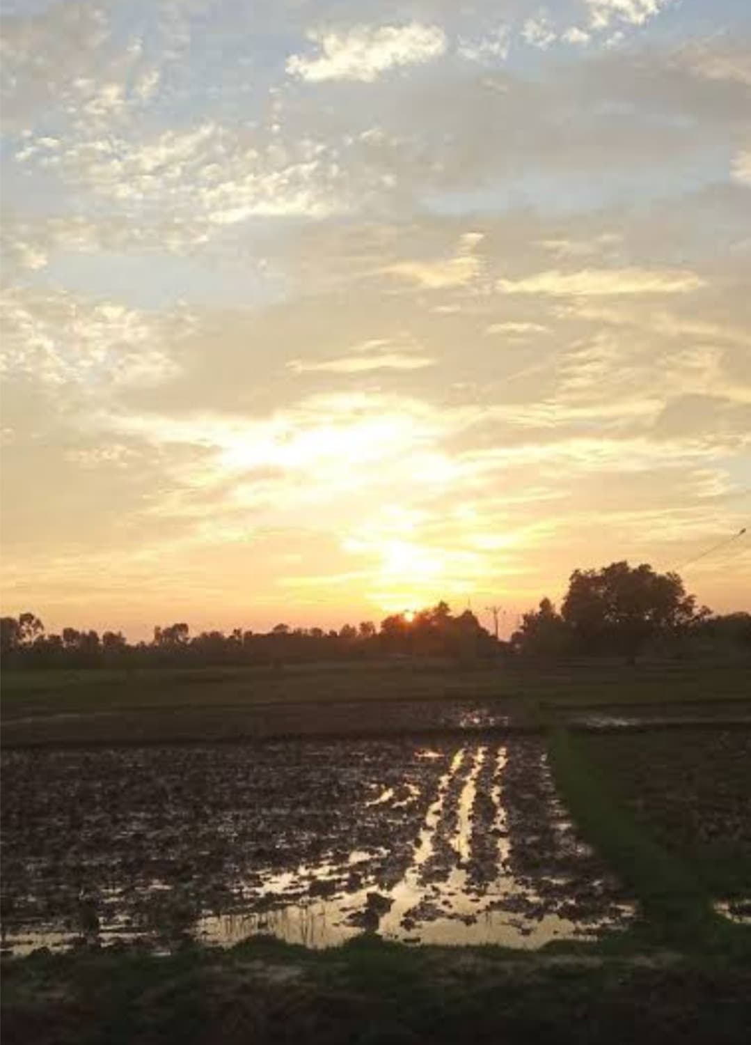 5 दिन बाद खिली धूप से राहत, मौसम हुआ सुहाना 