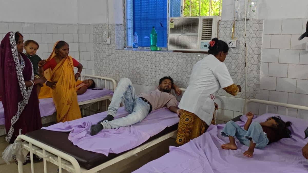गिरिडीह के गांडेय में जंगली मशरूम खाने से एक ही परिवार के कई लोग बीमार