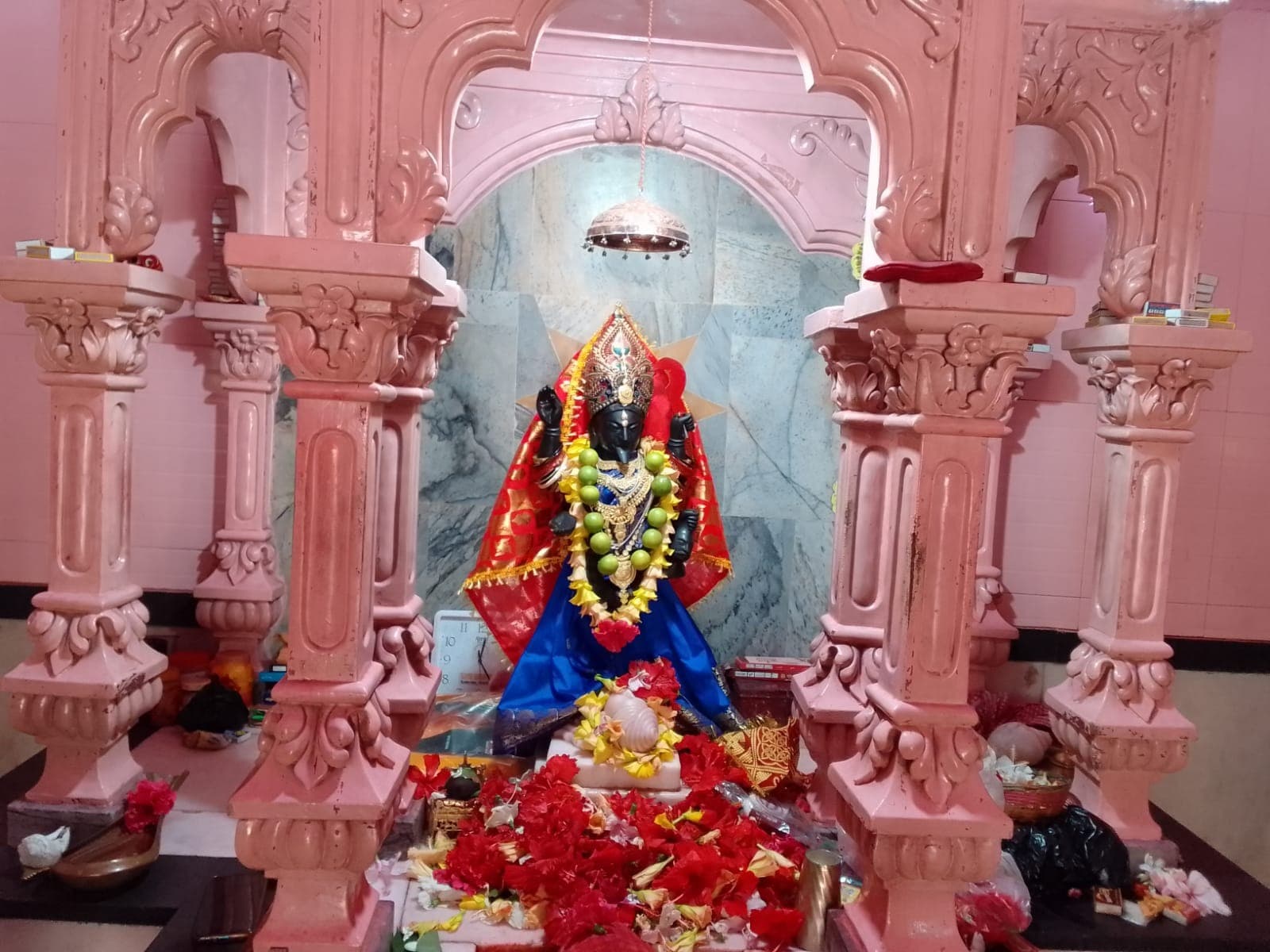 मां विपत्तारिणी की पूजा में उमड़ी महिलाओं की आस्था