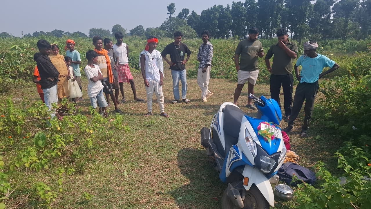 जंगल में मौत का खेल देशी बम से तीन बेजुबानों की दर्दनाक मौत