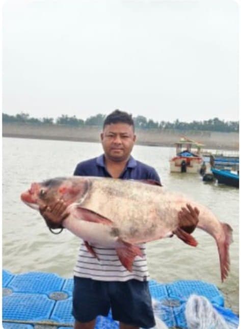 कोनार डैम में मिली 42 किलो की विशालकाय मछली, देखने उमड़ी भीड़