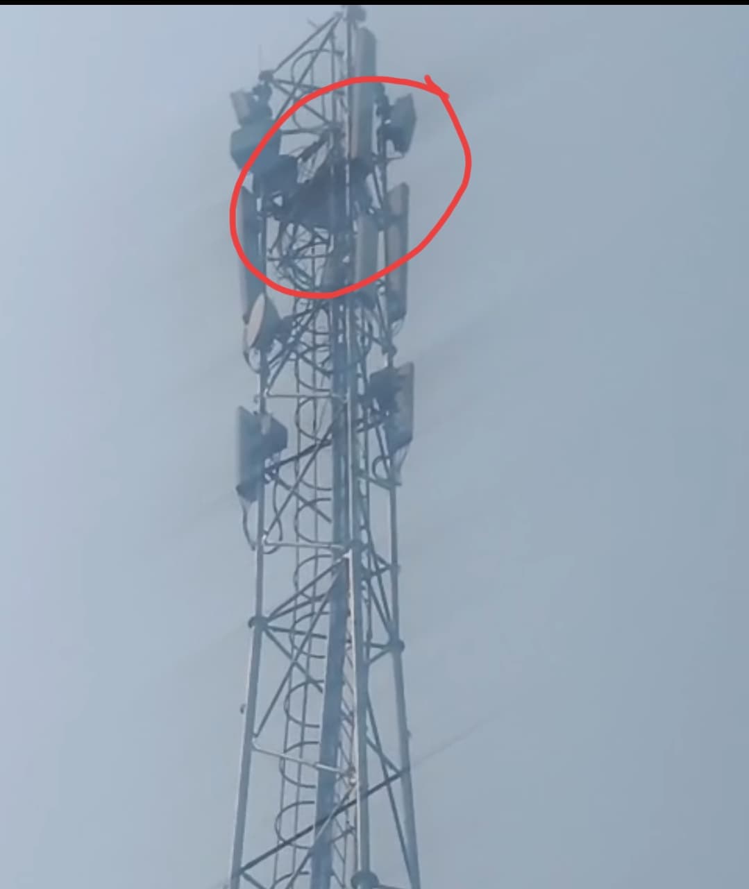 85 फीट ऊंचे मोबाइल टावर पर चढ़ा युवक, जमीन म्यूटेशन विवाद को लेकर प्रशासन के खिलाफ जताया विरोध