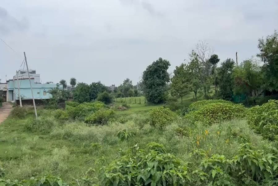 100 करोड़ की जमीन पर महाघोटाले का विस्फोट, अदालत के आदेश पर FIR, 21 एकड़ जमीन के सरकारी रिकॉर्ड से कथित छेड़छाड़ की जांच प्रारंभ 