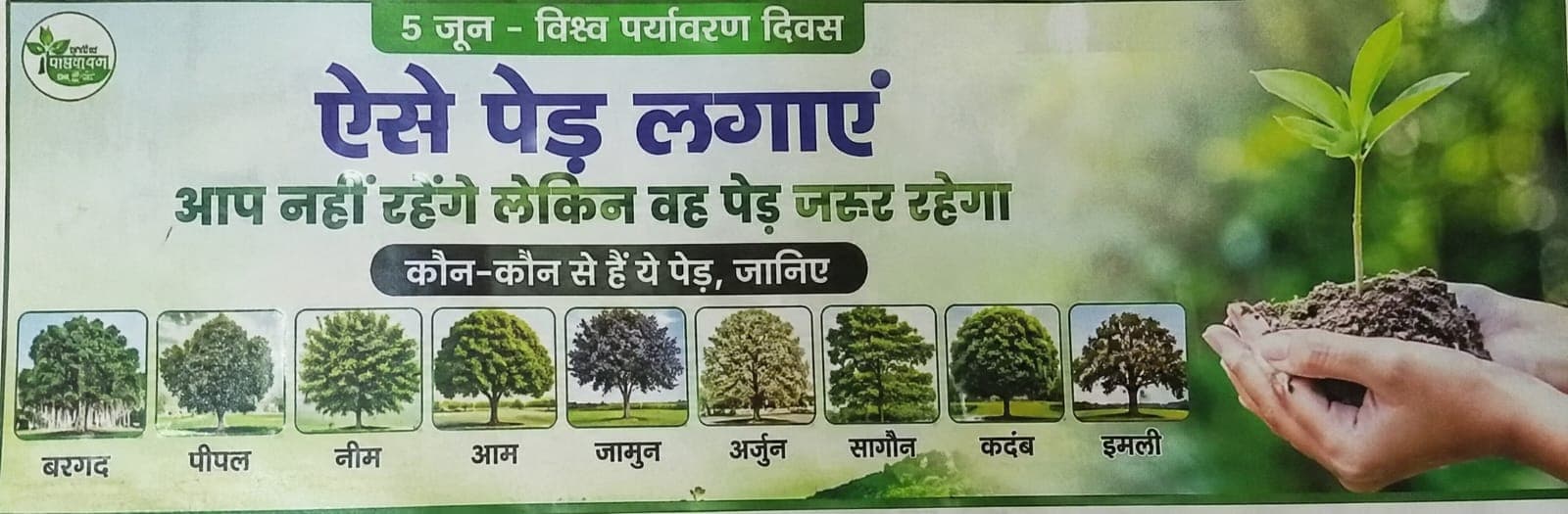विश्व पर्यावरण दिवस 2026: ऐसे पेड़ लगाएं, जो आपकी पीढ़ियों के बाद भी देते रहेंगे जीवन