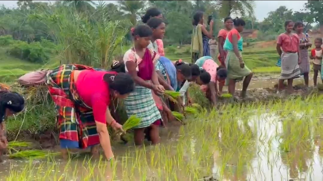 धान रोपनी के बीच सीता सोरेन का सरकार पर हमला, बोलीं- रोजगार नहीं मिलने से बढ़ रहा पलायन