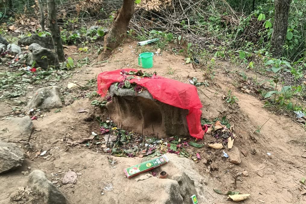 हजारीबाग के बिशाय जंगल में उभरी नागों की आकृति ने बनाया धार्मिक स्थल