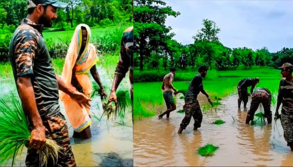 खेत में धान रोप रही थी अकेली महिला, अचानक रुक गया सेना का काफिला; जवानों ने की ऐसी मदद कि वायरल हो गया वीडियो