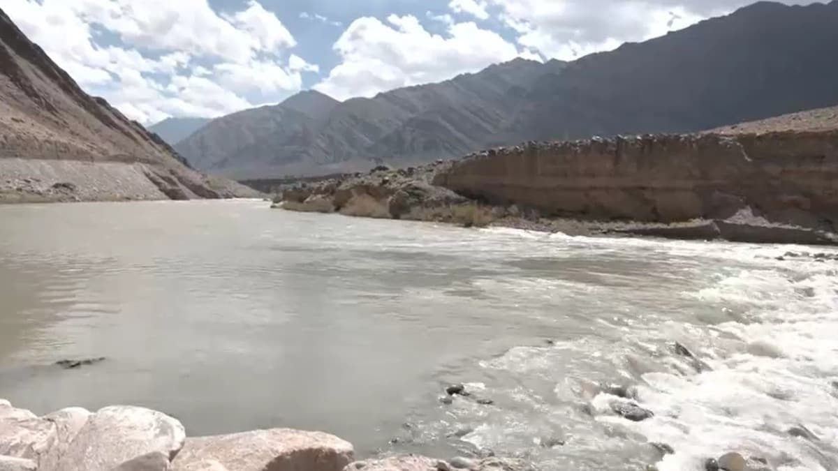 सिंधु नदी पर बना अनोखा 'रॉक डैम', लद्दाख के खेतों तक पहुंच रहा पानी; किसानों को मिली बड़ी राहत