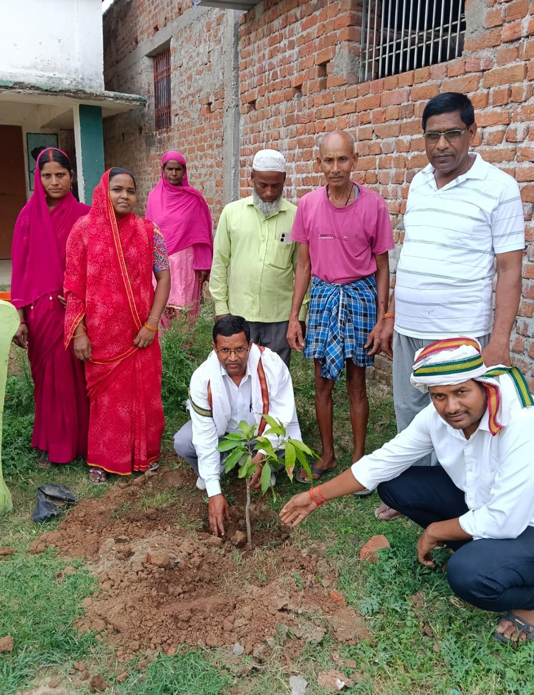 धनवार में 'स्वच्छ गांव सुरक्षित जलवायु' अभियान, स्कूल परिसर में लगे फलदार पौधे