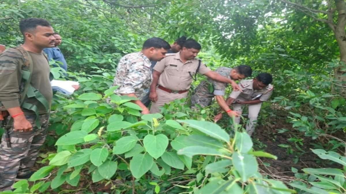 धनबाद के जंगल से मानव कंकाल बरामद, हत्या की आशंका में जांच शुरू
