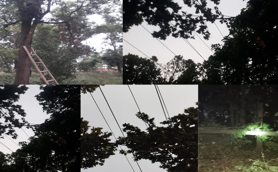 कोयला नगरी में 'लालटेन राज', बिजली संकट से त्रस्त जनता, जिम्मेदारों की खामोशी पर सवाल