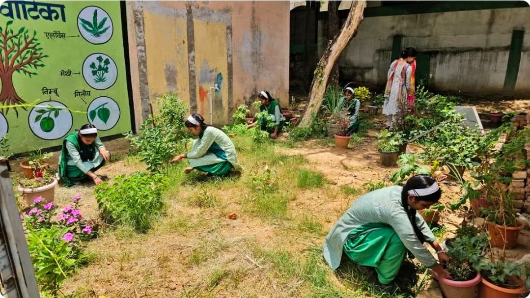 स्वच्छता में हजारीबाग का जलवा, राष्ट्रीय रैंकिंग में बिहारी गर्ल्स स्कूल को 21वां स्थान
