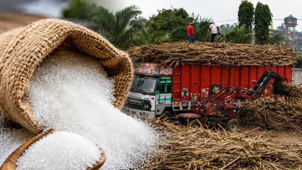 चीनी के बढ़ते दामों के बीच फिर उठी ‘लेवी सिस्टम’ लागू करने की मांग, जानिए क्या है यह व्यवस्था