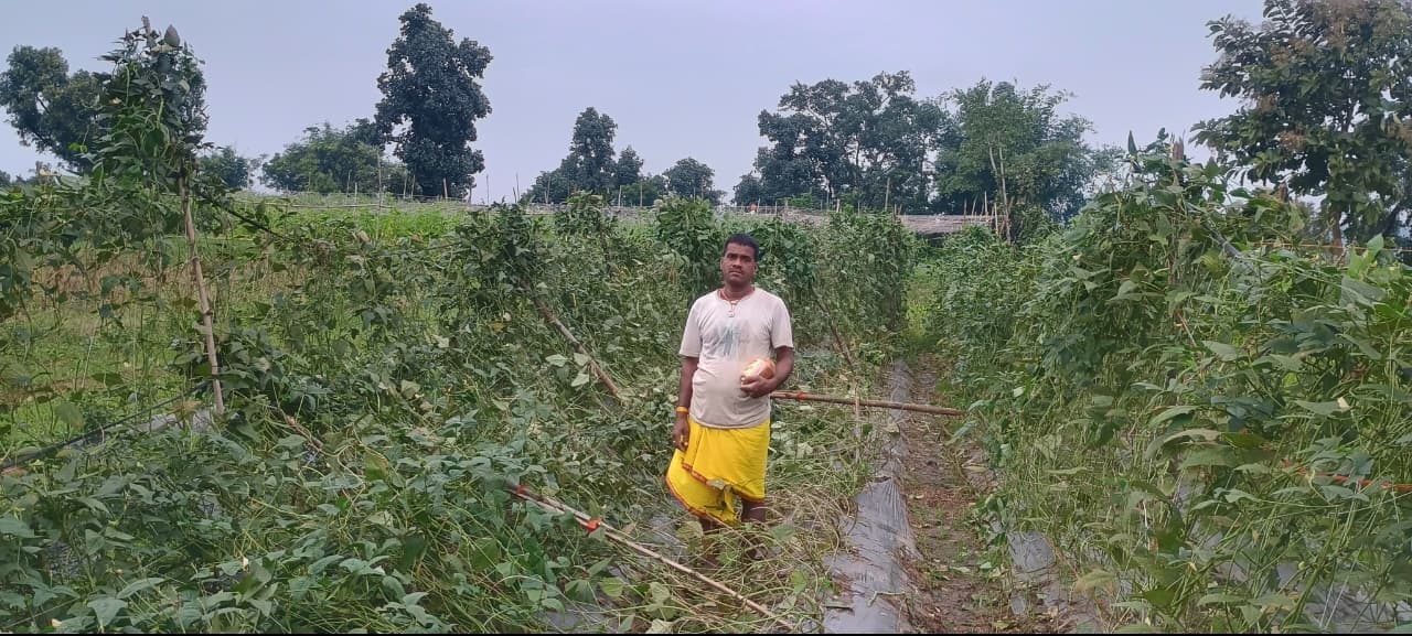 चार-पांच दिनों से लगातार हो रही झमाझम बारिश से किसानों को हुआ काफी नुकसान, किसान चिंतित