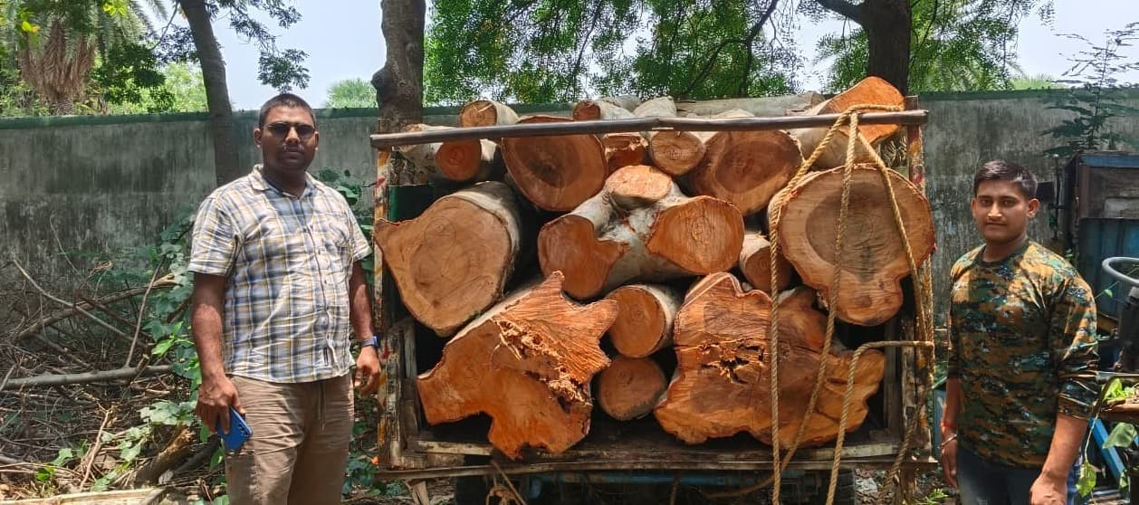 जामताड़ा में लकड़ी तस्करों पर शिकंजा, वन विभाग ने की बड़ी जब्ती